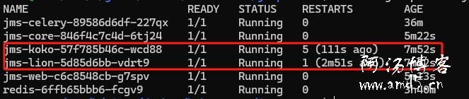 jumpserver迁移以后koko和lion无法注册服务
